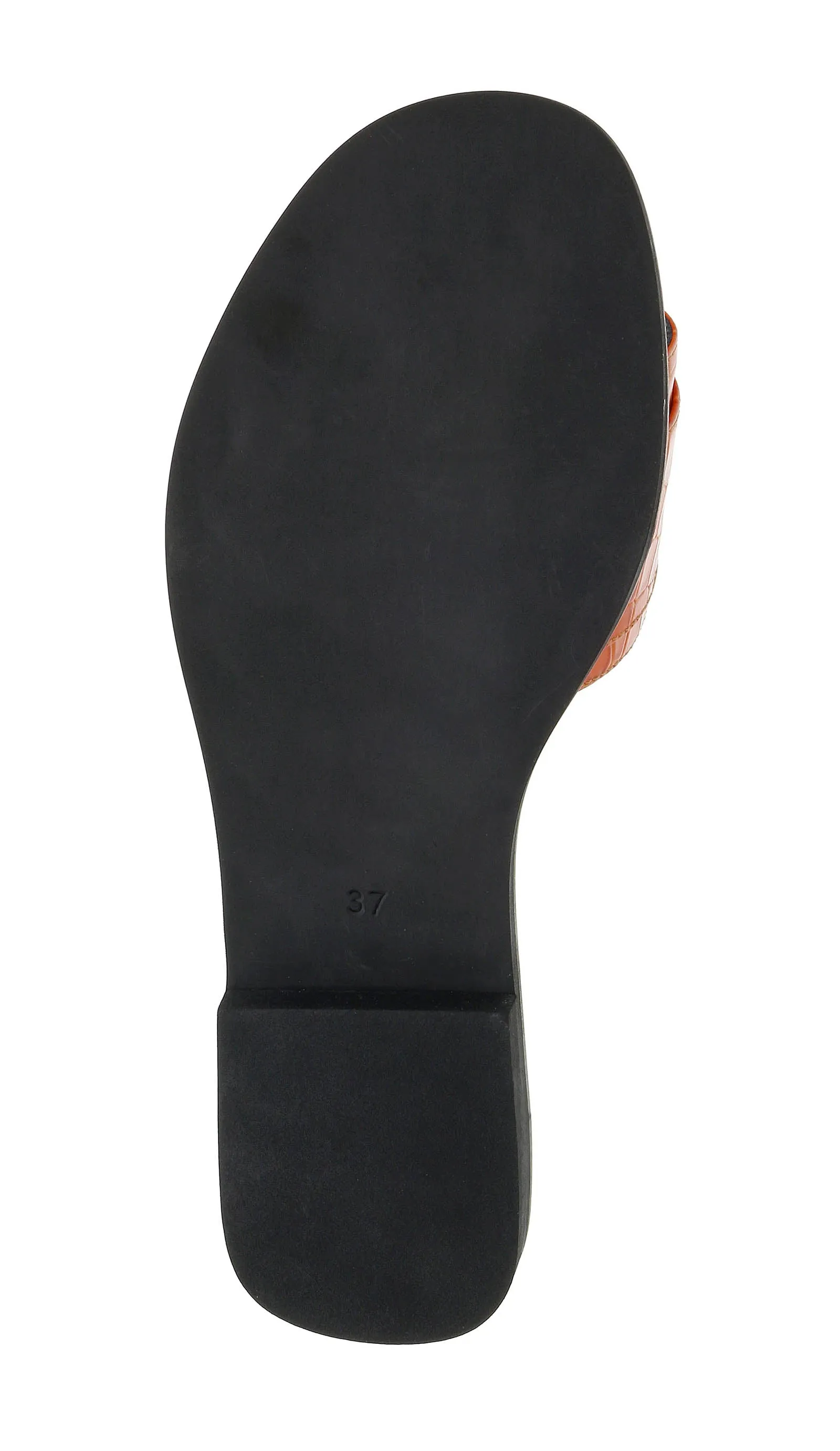 Ventutto Coral Wide Buckle Flat Leather Slide-